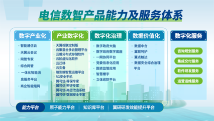 聚力数智赋能 电信数智:打造世界一流数智化服务提供商